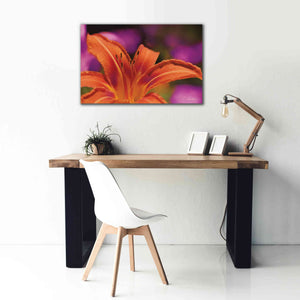 'Floral Pop V' by Lori Deiter, Canvas Wall Art,40 x 26