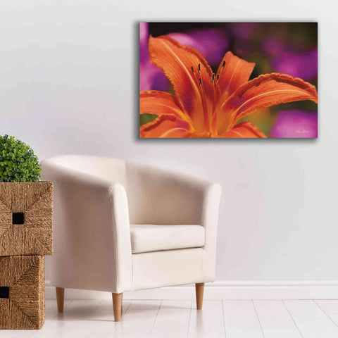 Image of 'Floral Pop V' by Lori Deiter, Canvas Wall Art,40 x 26
