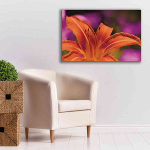 'Floral Pop V' by Lori Deiter, Canvas Wall Art,40 x 26