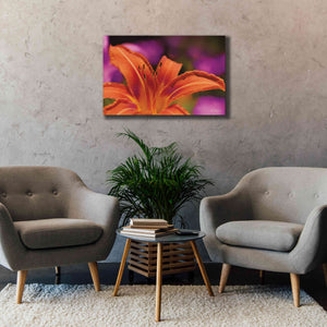 'Floral Pop V' by Lori Deiter, Canvas Wall Art,40 x 26