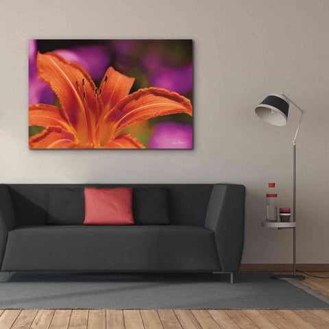 Image of 'Floral Pop V' by Lori Deiter, Canvas Wall Art,60 x 40