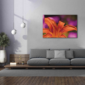 'Floral Pop V' by Lori Deiter, Canvas Wall Art,60 x 40