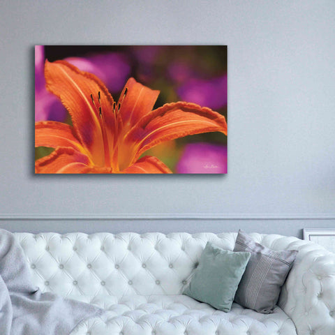 Image of 'Floral Pop V' by Lori Deiter, Canvas Wall Art,60 x 40