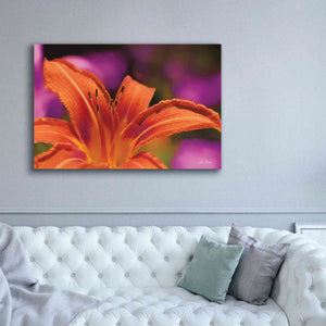 'Floral Pop V' by Lori Deiter, Canvas Wall Art,60 x 40