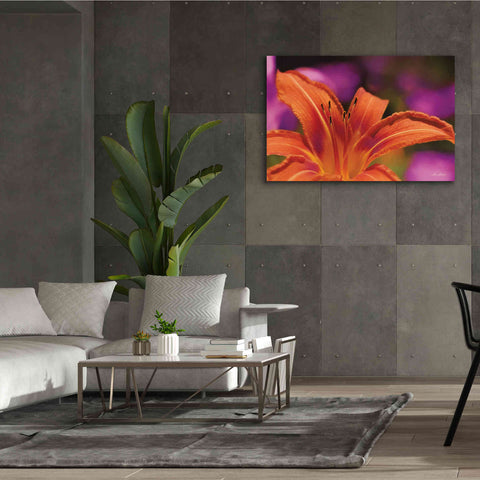 Image of 'Floral Pop V' by Lori Deiter, Canvas Wall Art,60 x 40