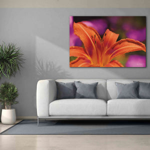 'Floral Pop V' by Lori Deiter, Canvas Wall Art,60 x 40