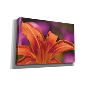 'Floral Pop V' by Lori Deiter, Canvas Wall Art