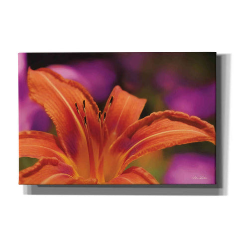 Image of 'Floral Pop V' by Lori Deiter, Canvas Wall Art