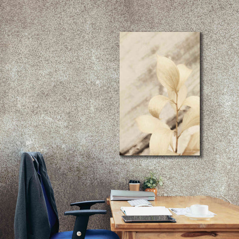 Image of 'Golden Leaves' by Lori Deiter, Canvas Wall Art,26 x 40