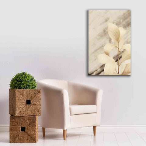 Image of 'Golden Leaves' by Lori Deiter, Canvas Wall Art,26 x 40