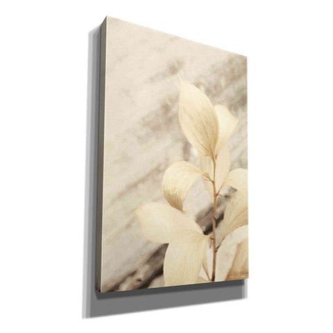 Image of 'Golden Leaves' by Lori Deiter, Canvas Wall Art