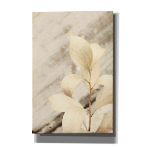 Image of 'Golden Leaves' by Lori Deiter, Canvas Wall Art