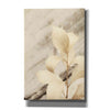 'Golden Leaves' by Lori Deiter, Canvas Wall Art