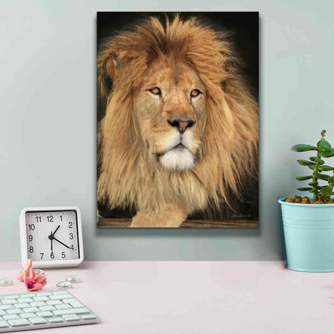 Image of 'King of the Jungle' by Lori Deiter, Canvas Wall Art,12 x 16