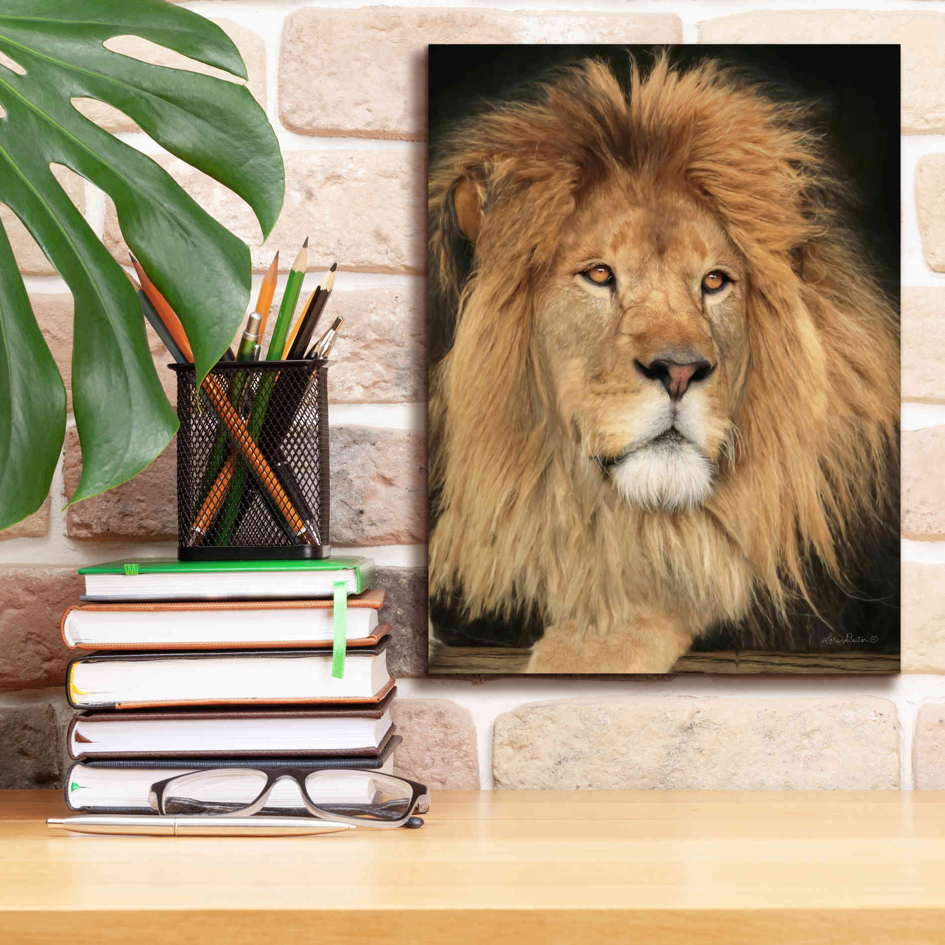 'King of the Jungle' by Lori Deiter, Canvas Wall Art,12 x 16