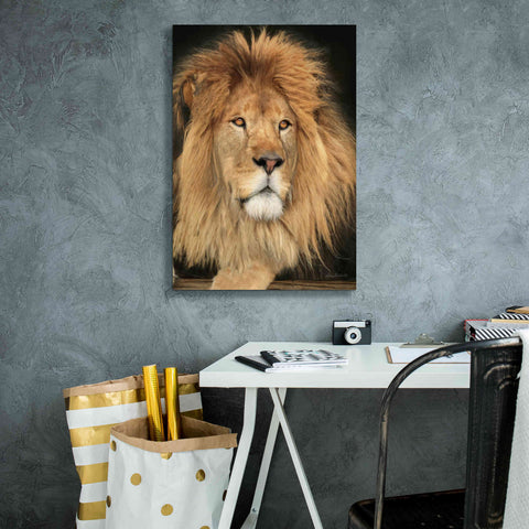 Image of 'King of the Jungle' by Lori Deiter, Canvas Wall Art,18 x 26