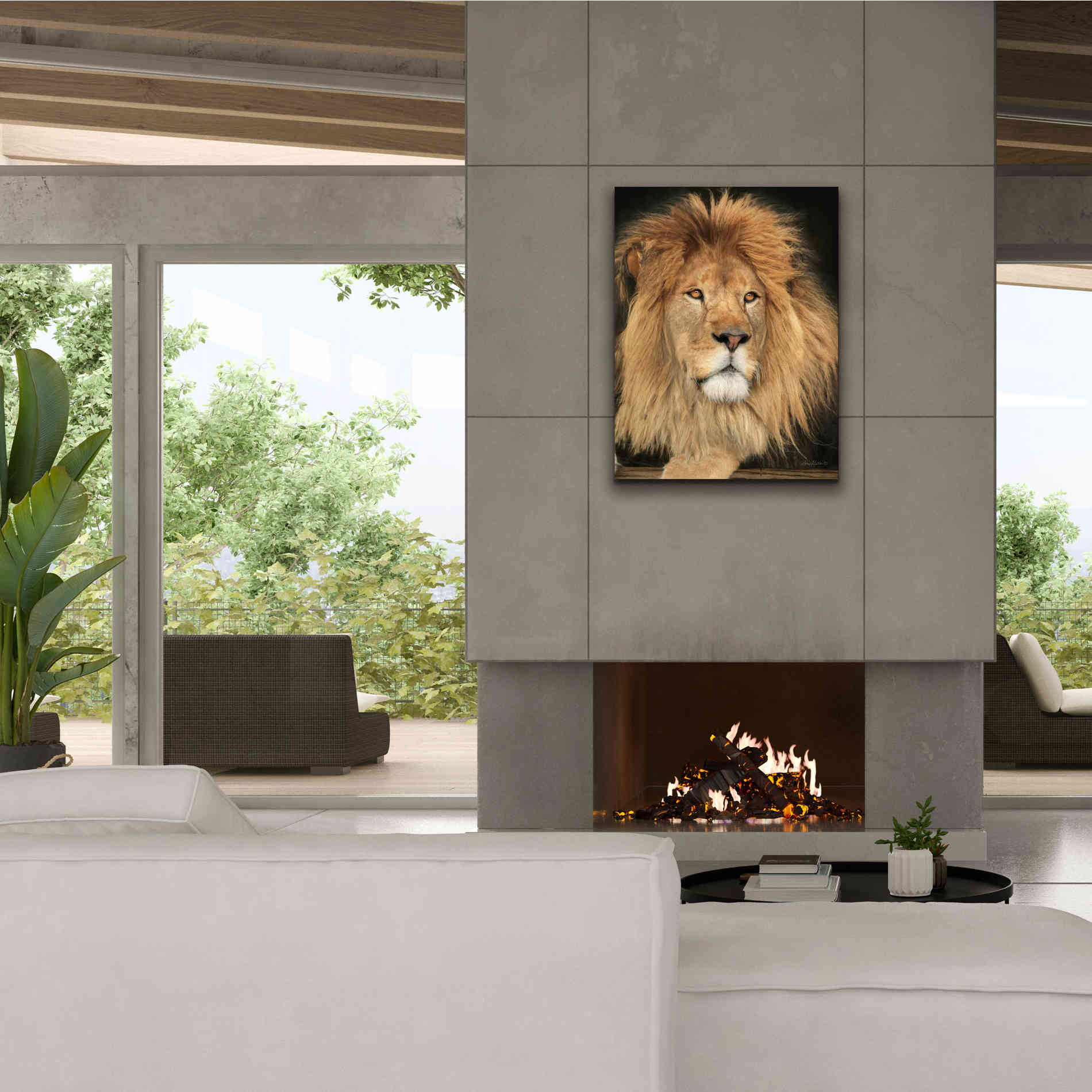 'King of the Jungle' by Lori Deiter, Canvas Wall Art,26 x 34