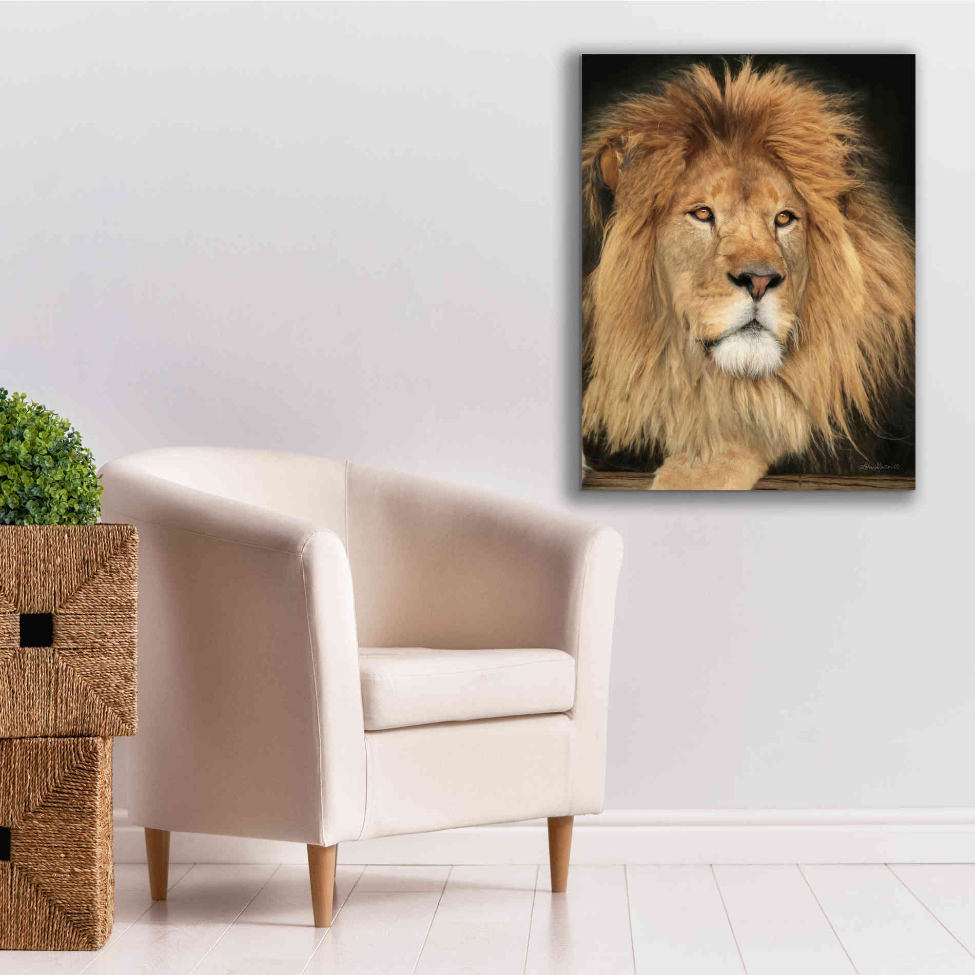 'King of the Jungle' by Lori Deiter, Canvas Wall Art,26 x 34