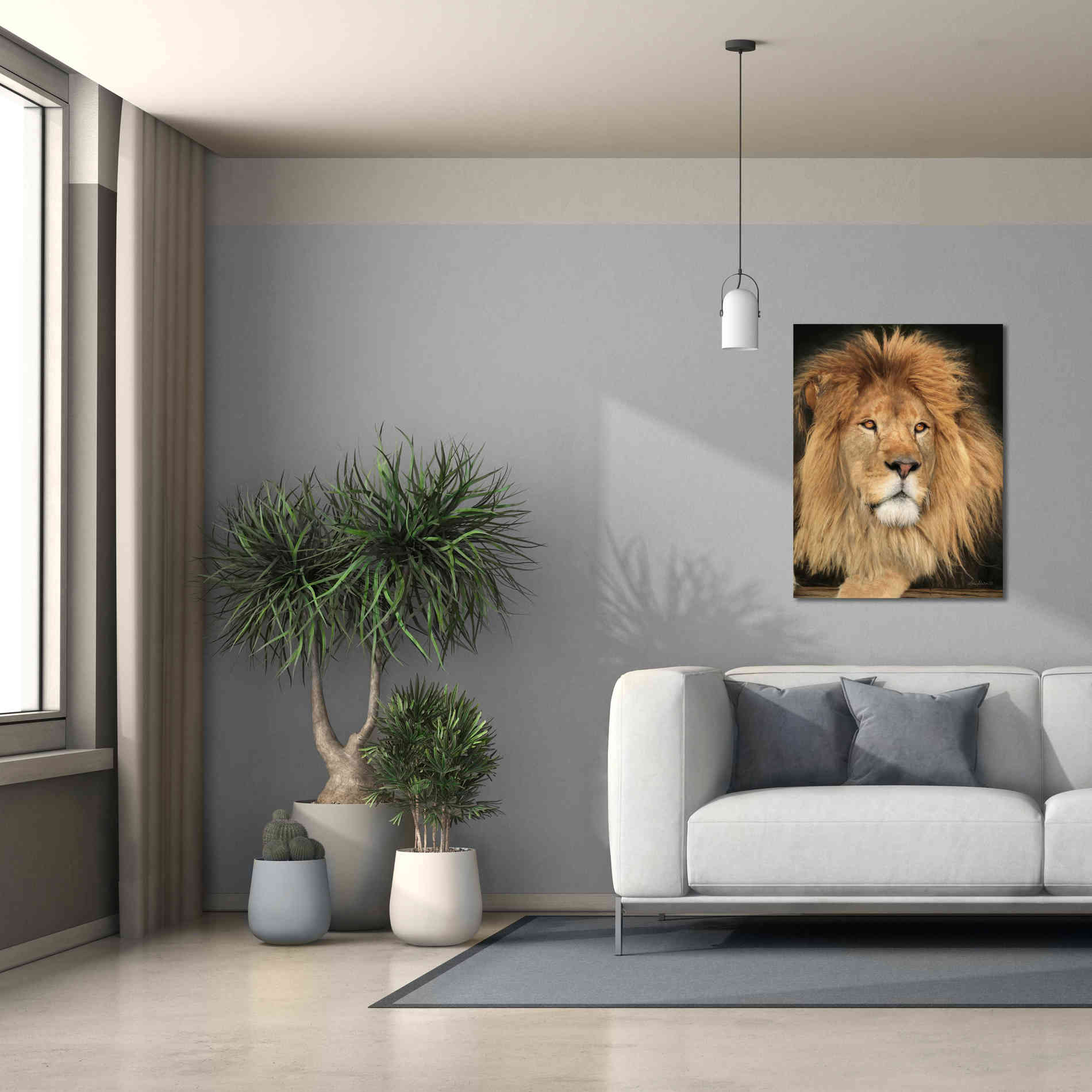 'King of the Jungle' by Lori Deiter, Canvas Wall Art,26 x 34