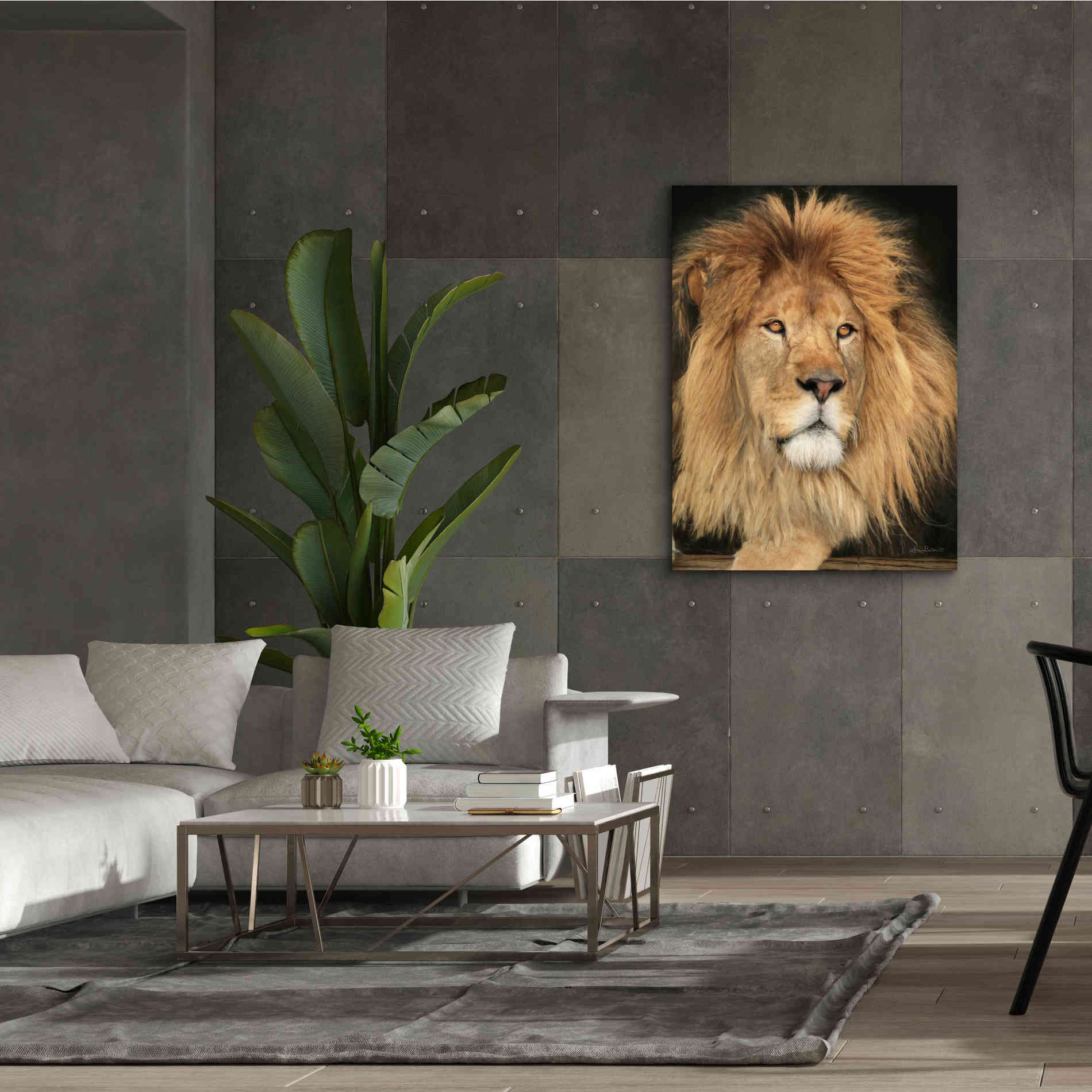 'King of the Jungle' by Lori Deiter, Canvas Wall Art,40 x 54