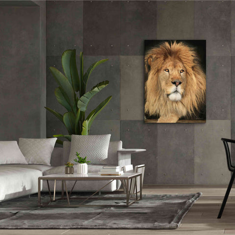 Image of 'King of the Jungle' by Lori Deiter, Canvas Wall Art,40 x 54