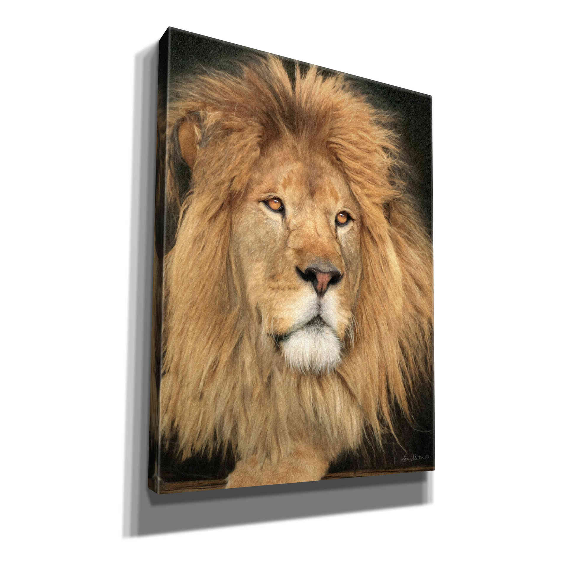 'King of the Jungle' by Lori Deiter, Canvas Wall Art
