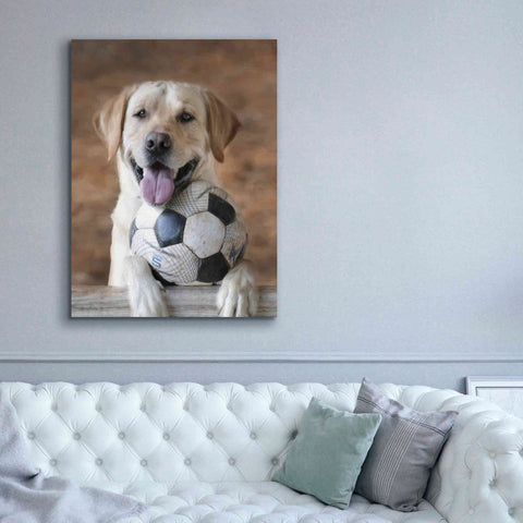 Image of 'Playtime' by Lori Deiter, Canvas Wall Art,40 x 54