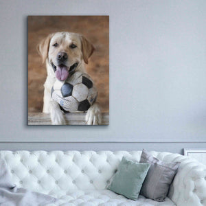 'Playtime' by Lori Deiter, Canvas Wall Art,40 x 54