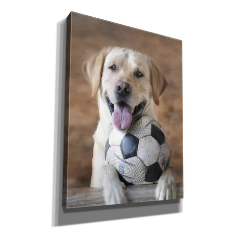 Image of 'Playtime' by Lori Deiter, Canvas Wall Art