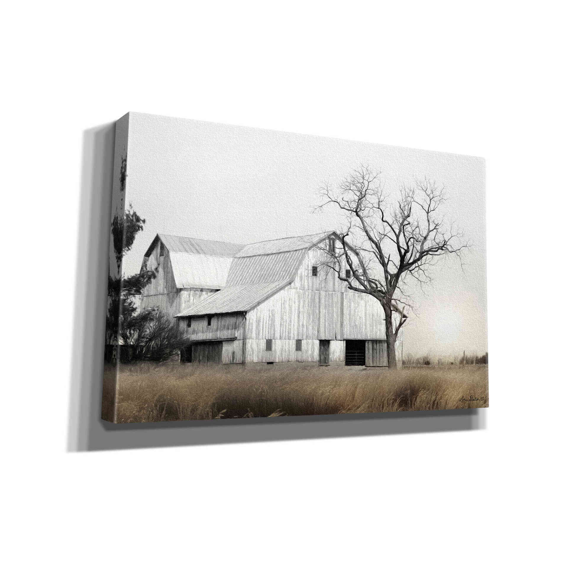 'Ohio Fields I' by Lori Deiter, Canvas Wall Art