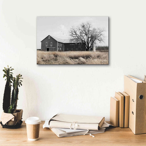 Image of 'Ohio Fields II' by Lori Deiter, Canvas Wall Art,18 x 12