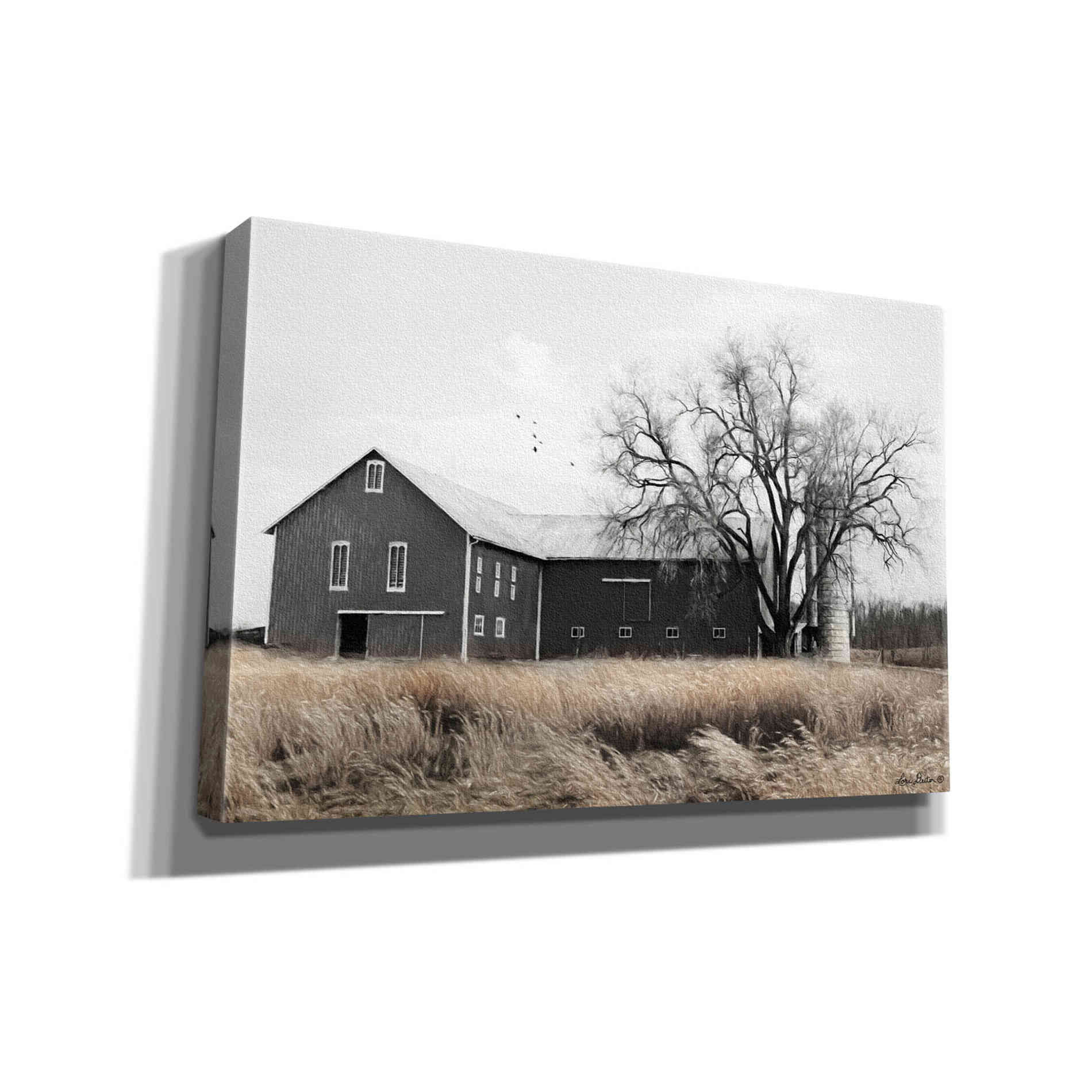 'Ohio Fields II' by Lori Deiter, Canvas Wall Art