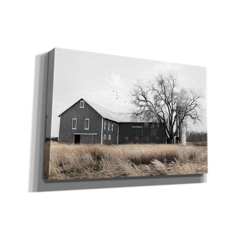 Image of 'Ohio Fields II' by Lori Deiter, Canvas Wall Art