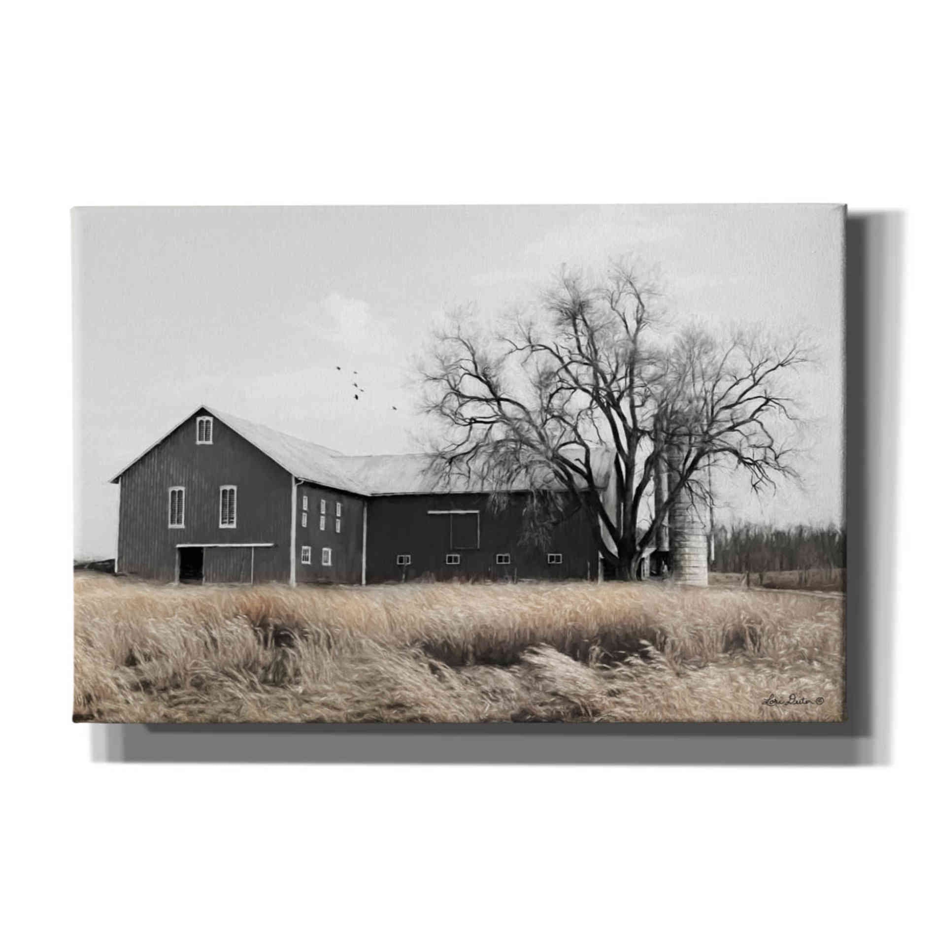 'Ohio Fields II' by Lori Deiter, Canvas Wall Art