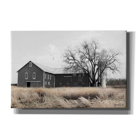 'Ohio Fields II' by Lori Deiter, Canvas Wall Art