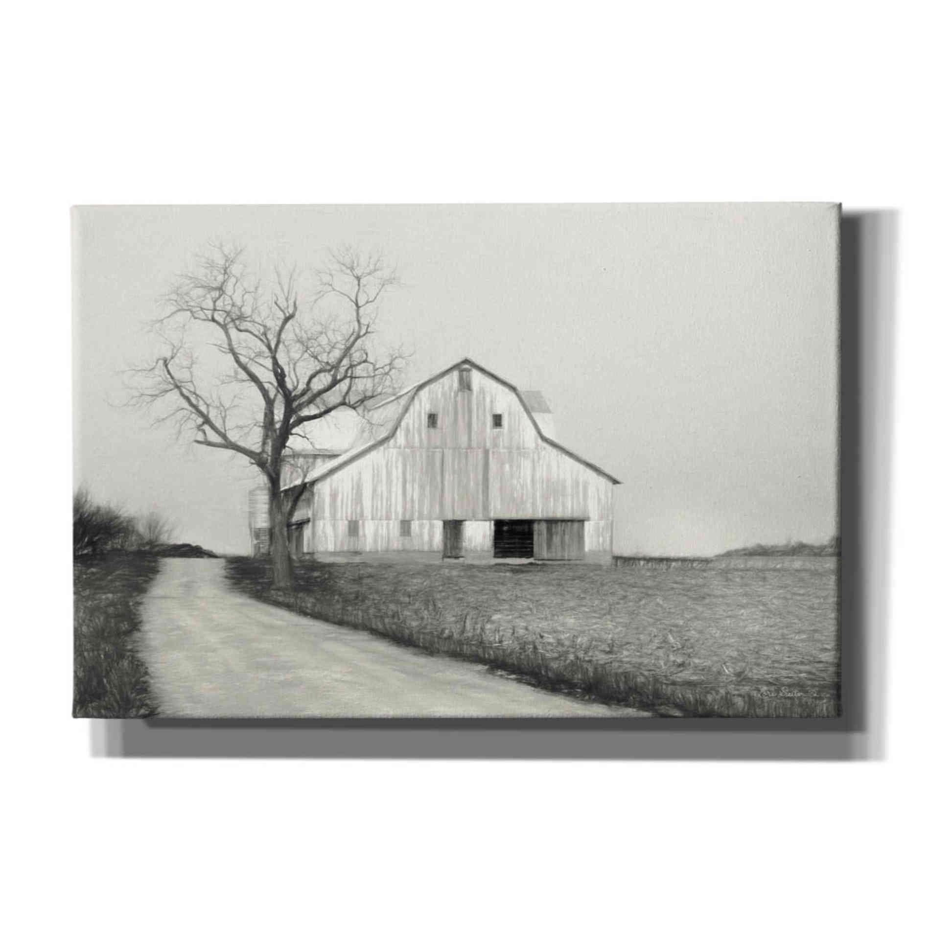 'Ohio Fields III' by Lori Deiter, Canvas Wall Art