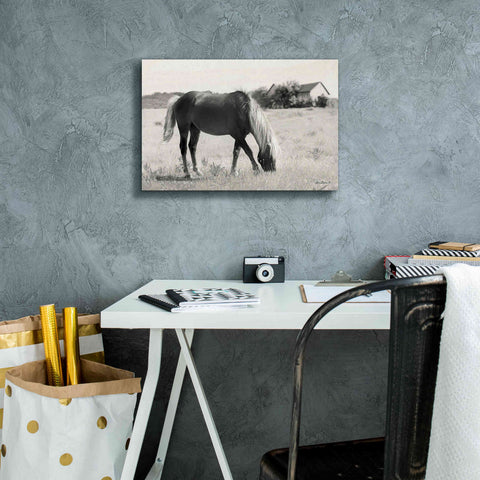 Image of 'Summer Grazing' by Lori Deiter, Canvas Wall Art,18 x 12