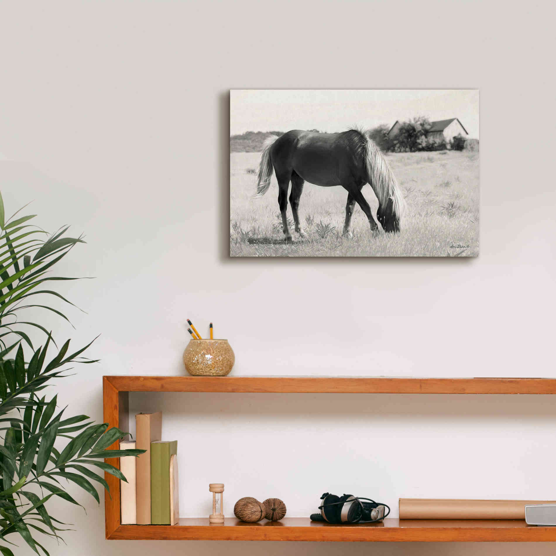 'Summer Grazing' by Lori Deiter, Canvas Wall Art,18 x 12