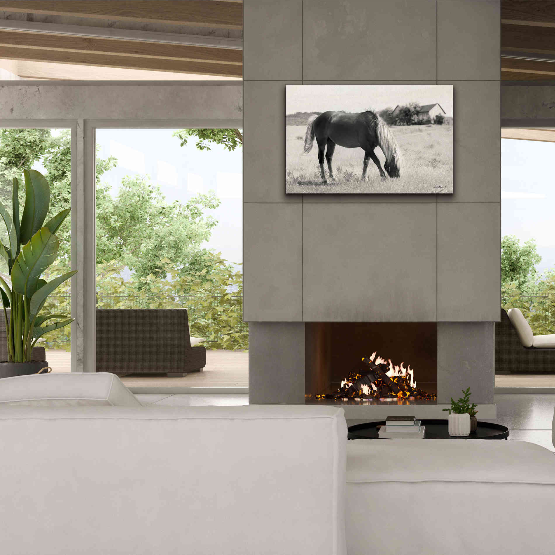 'Summer Grazing' by Lori Deiter, Canvas Wall Art,40 x 26