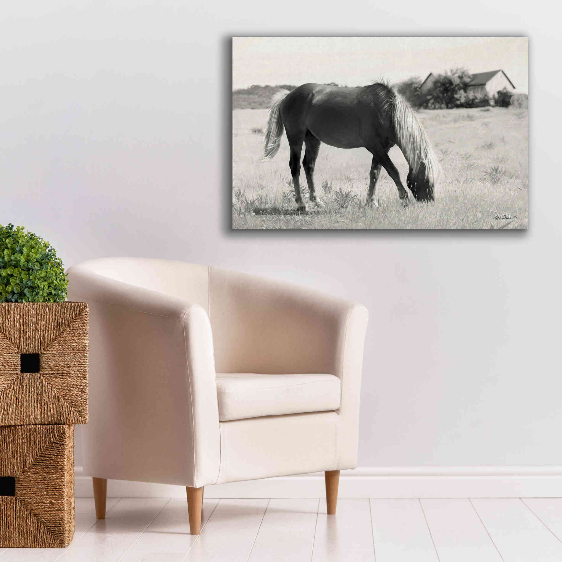 'Summer Grazing' by Lori Deiter, Canvas Wall Art,40 x 26