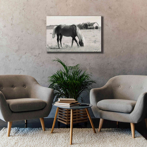 Image of 'Summer Grazing' by Lori Deiter, Canvas Wall Art,40 x 26