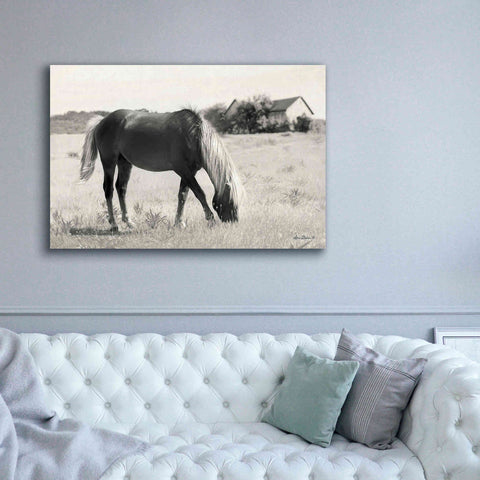 Image of 'Summer Grazing' by Lori Deiter, Canvas Wall Art,60 x 40