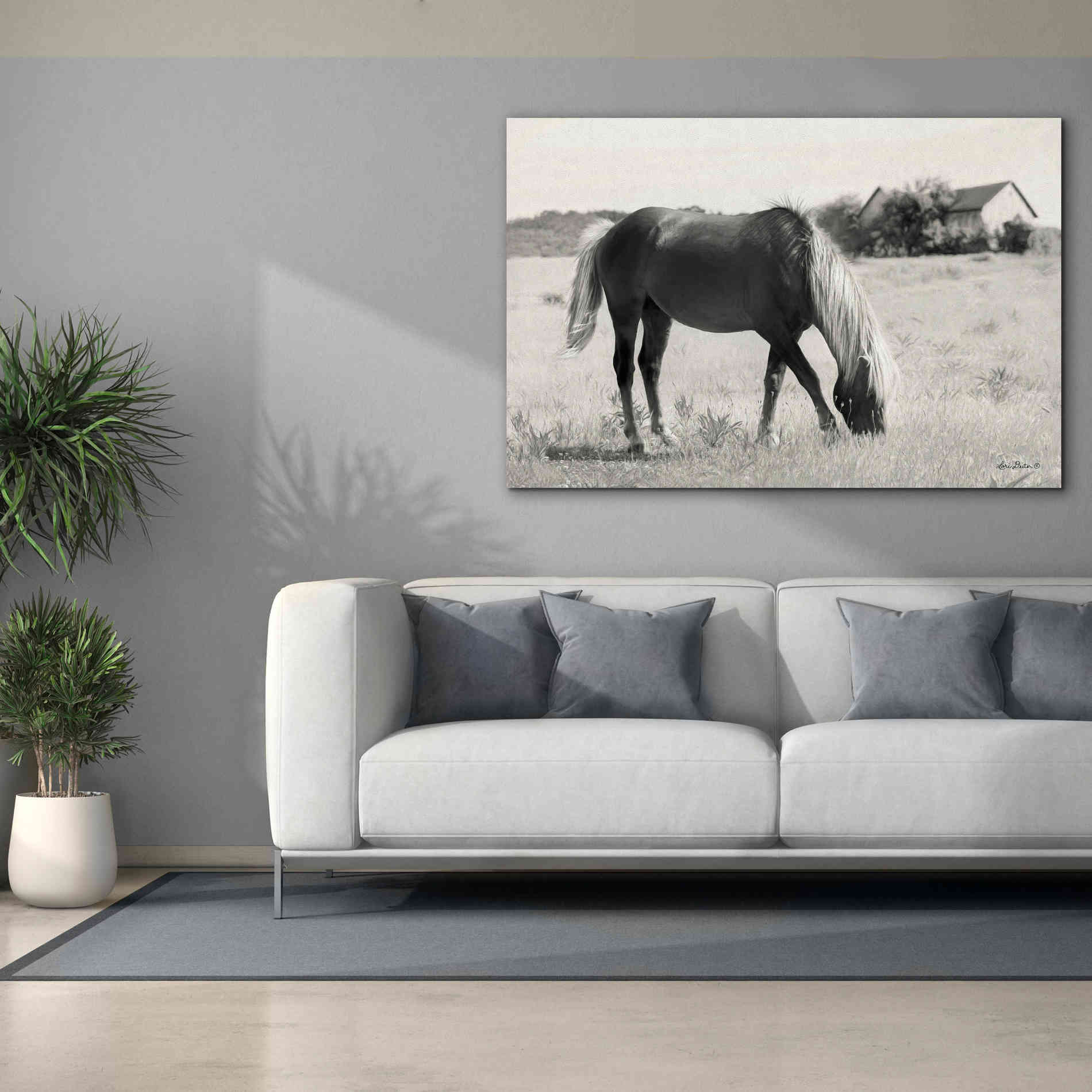 'Summer Grazing' by Lori Deiter, Canvas Wall Art,60 x 40