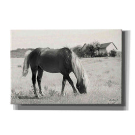 'Summer Grazing' by Lori Deiter, Canvas Wall Art
