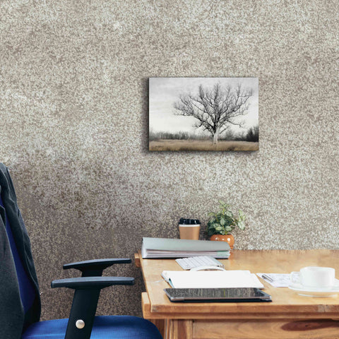 Image of 'Earth & Sky' by Lori Deiter, Canvas Wall Art,18 x 12