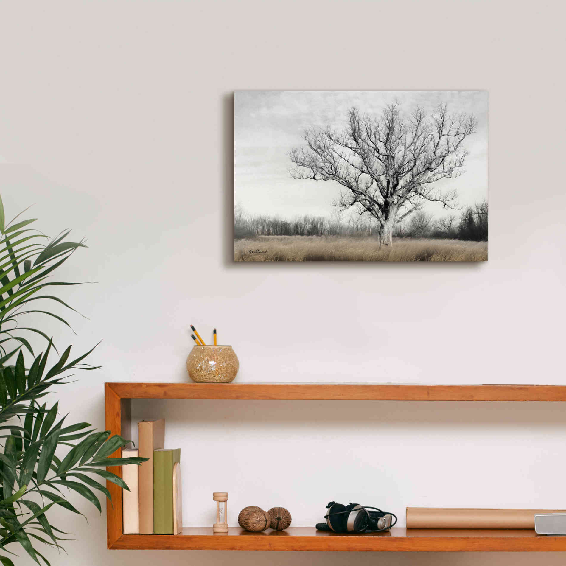 'Earth & Sky' by Lori Deiter, Canvas Wall Art,18 x 12