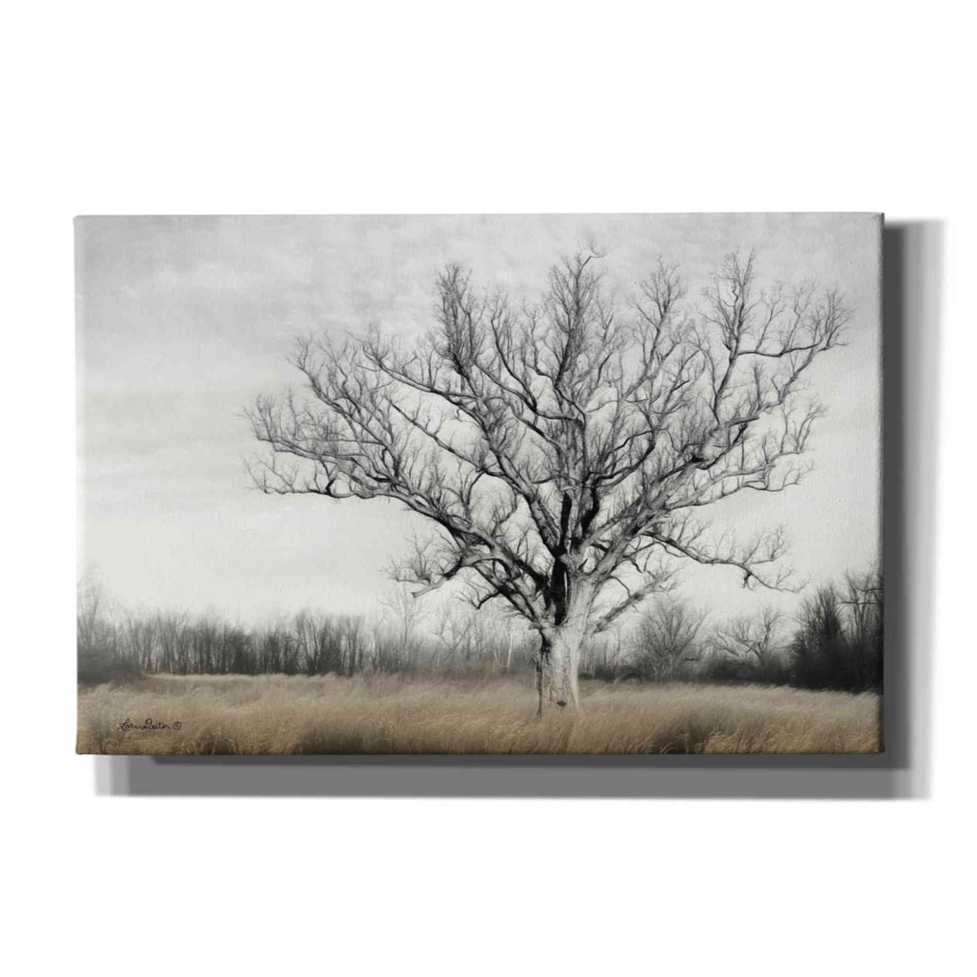 'Earth & Sky' by Lori Deiter, Canvas Wall Art