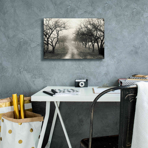 Image of 'Foggy Lane' by Lori Deiter, Canvas Wall Art,18 x 12