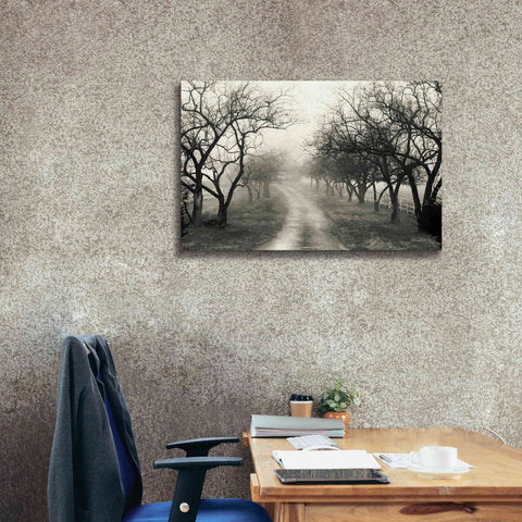 Image of 'Foggy Lane' by Lori Deiter, Canvas Wall Art,40 x 26