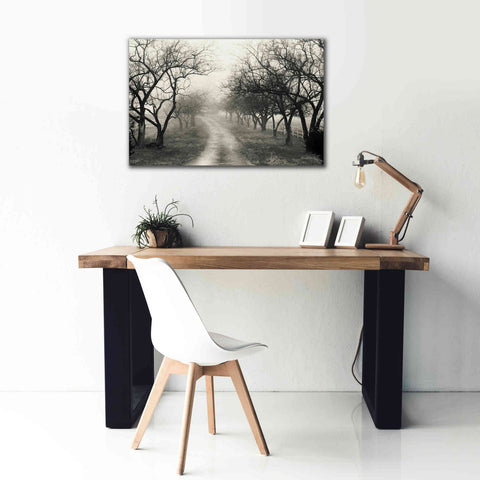 Image of 'Foggy Lane' by Lori Deiter, Canvas Wall Art,40 x 26